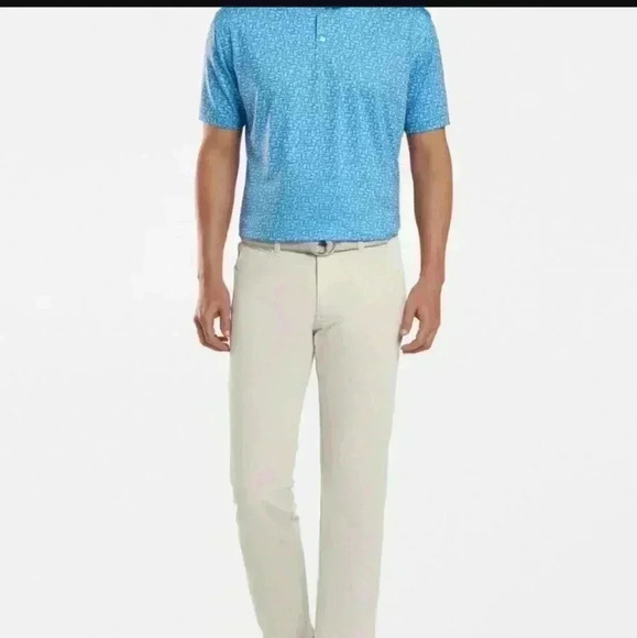 Peter Millar Oak Performance Polo - Picture 1 of 7